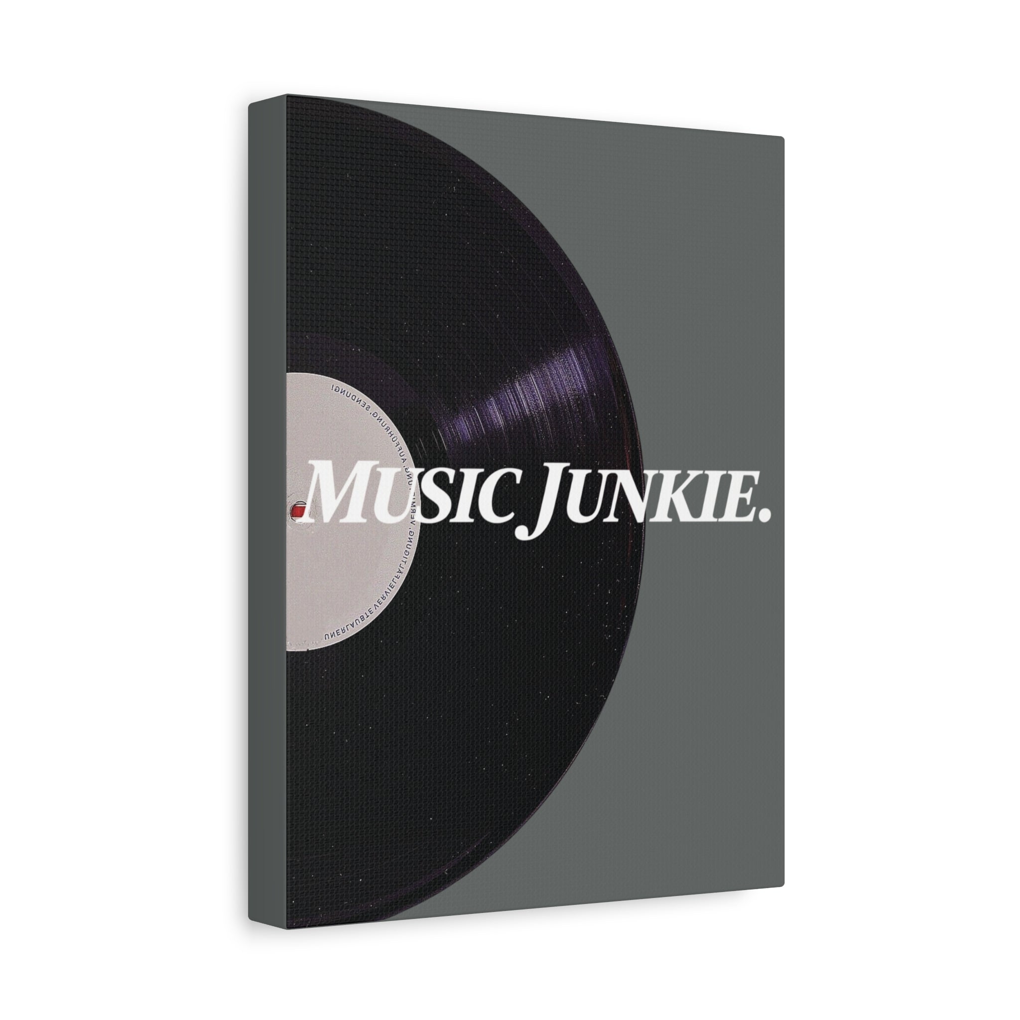 Music Junkie Vinyl Canvas